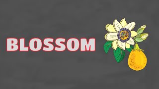 What Does BLOSSOM Means || Meanings And Definitions With Example in ENGLISH