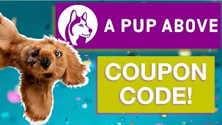 A Pup Above Coupon Code (Save $50 on your first order!)