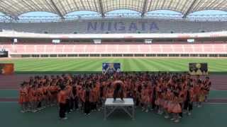 新潟青陵高等学校 第47回体育祭 応援合戦 4連合（オレンジ）