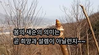 광양 쫓비산 등산