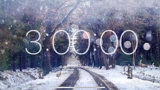 3 Hour Timer - Snow Covered Road (Wind Ambience)