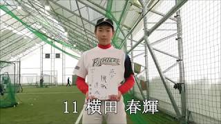 【2017ファイターズジュニア】11　横田　春輝