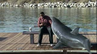 Funny Nicorette Commercial  (shark) 720p