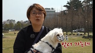 보물섬 20190326 [KBS제주]