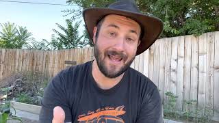 New to a Garden? Try The Seed Scatter Method