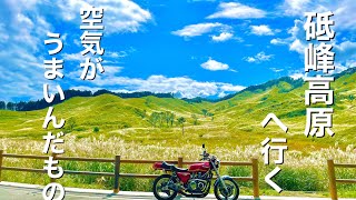 【砥峰高原】よく行く兵庫県のスポット#zephyr 750 #ソロツーリング #kawasaki