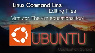 Linux Command Line: Editing Files: Vimtutor. The vim educational tool