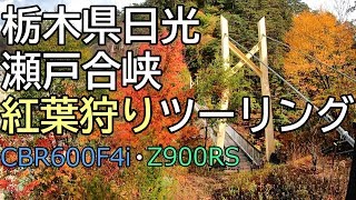 【紅葉狩り】栃木県 日光 瀬戸合峡【マスツー】