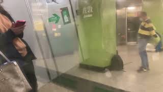 (Strong motor 強摩打)Hong Kong MTR M train TST to YMT 香港港鐵M train尖沙咀→油麻地 A208/A205