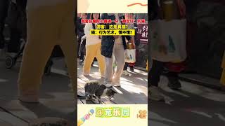 游客在普陀山偶遇一只“被定住”的猫 游客：这是真猫？猫：行为艺术，懂不懂？ #宠乐园 #轻松一刻 #动物