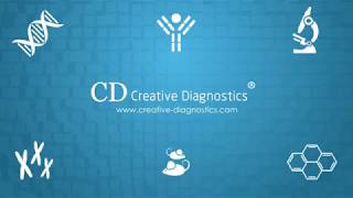 Creative Diagnostics