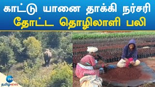 ELEPHANT | PLANT NURSERY | DEAD | காட்டு யானை தாக்கி நர்சரி தோட்ட தொழிலாளி பலி