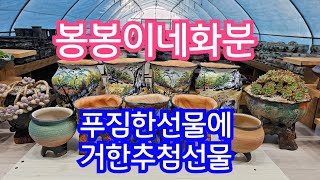 7월27일 #봉봉이네화분#수제공방분#다육화분#거한추첨선물~기대하세요~♡♡