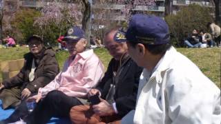 東京荒川LC2012.04.07第12回獅子孔桜・花見例会.wmv