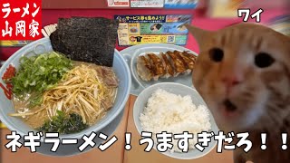 【山岡家】ネギ醤油ラーメンを食ってみろ！！？？餃子とライスも頼んで腹パンになってやるよ！！という話【クセになる味】#猫ミーム  #猫マニ