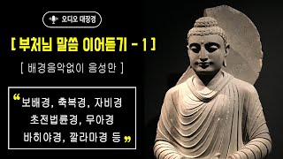 대장경 이어듣기 1(음성만)