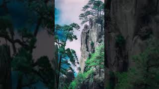 ASMR - Nature videos 4k 30 seconds fullscreen Status video #Shorts