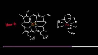 CYP2E1 Mechanism: Oxidation of Ethanol to Acetaldehyde