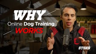 Why STSK9 Online Dog Training Works (and works really well!)