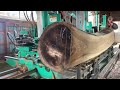 【岩手のキハダ一枚板】原木から一枚板を製材しました。【木の店さんもく】japanese amur cork tree wood sawing