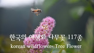 korean wildflower  Tree Flower 한국의 야생화 나무꽃 117종 빠른영상 편