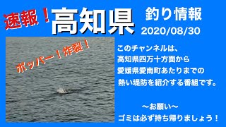 【高知県釣り情報】朝から車が５、６台あってもテトラは空いてるから諦めずに確認しよう！