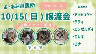 10月15日(日)譲渡会出場予定メンバー紹介第6弾‼