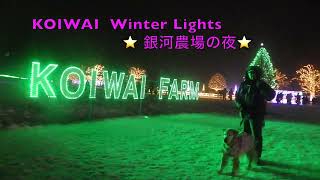 2024 12 31 KOIWAI Winter Lights 銀河農場の夜