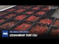 Keluarga Malaysia: Usahawan Tani Cili | MHI (29 November 2021)