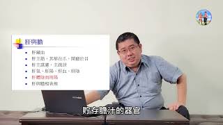 【五分鐘學中醫】(112)- 先簡單認識中醫提到的心、小腸、肝、膽、脾、胃，還有 奇恆之腑。