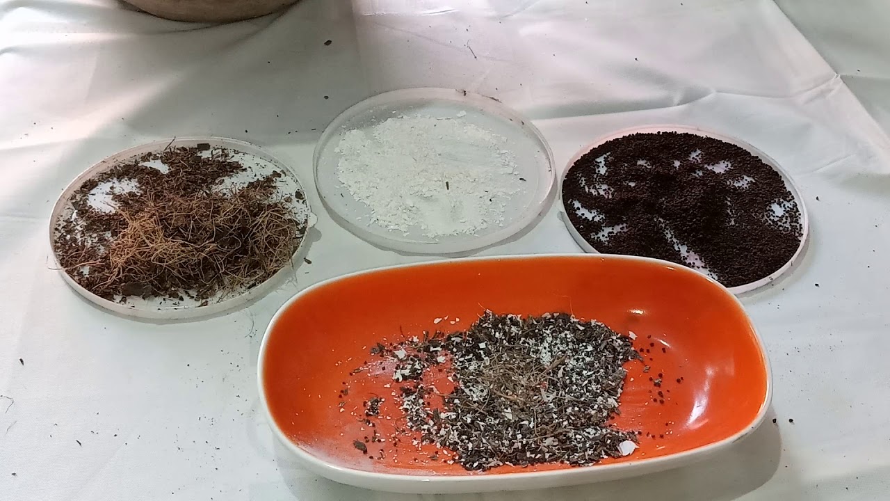 How To Make Organic NPK Fertilizer At Home.... - YouTube