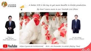 how to reduce FCR in broiler production?