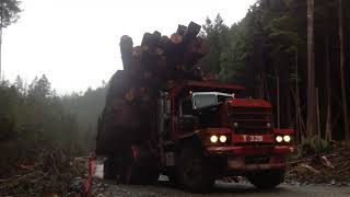 Loaded Off-Highway Logging truck. MASSIVE LOAD makes you feel really small. #automobile