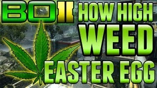 BO2 - "How High Marijuana / Weed Easter Egg" on Drone (Black Ops 2 Secrets) | Chaos