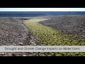 Drought and Climate Change Impacts on Rural and Urban Water Users