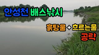 안성천 배스낚시/거센물살+흙탕물 헬 안성천 공략/with 베이트태클