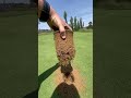 pretty crazy how you can have grass at 3mm and the roots are this dense and deep 😍 golf lawncare