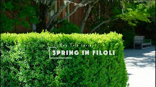 旧金山周边一日游之费罗利庄园 (Filoli)