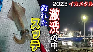 2023[イカメタル]激渋の中、助けてくれたスッテはこちらです・福井