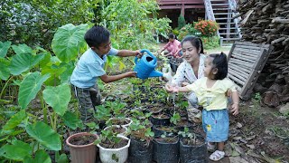 Mommy Sreypov: Countryside family love growing, harvesting and cooking - Family food cooking