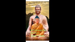 வார்த்தை கவனம் #short stories Tamil, Tamil audio books, kuttikathai, Motivational story tamil, Zen