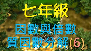 🆕最新課綱~七年級上學期 因數倍數與質因數分解(6)🆕