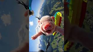 Flying Pig Takes Off – Paragliding Like a Pro! 🐷🪂