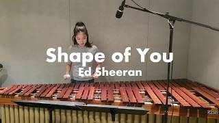 Shape of You - Ed sheeran / Marimba Cover
