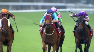 [HKIR 2016] Hong Kong's elite ready for Longines HKIR