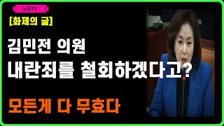 [화제의글] 내란죄를 철회하겠다고? I 모든게 다 원천무효다 I 김민전 의원