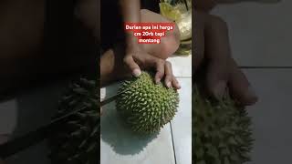 Durian apa ini harga cm 20rb tapi montong 😁 #durian #durianmontong