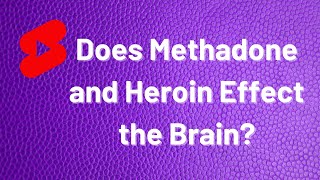 Does Methadone and Heroin Effect the Brain? (Spect Scan)