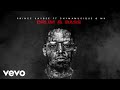 Prince Kaybee - Drum & Bass (Visualizer) ft. Chymamusique, MK Productions