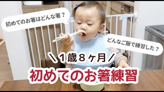 【1歳8ヶ月】ちょっと早いお箸に挑戦！はしはなに使う？どんなごはんで練習した？